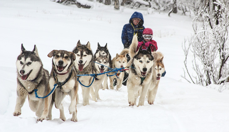 Club Wyndham Dinner Plain Mt Hotham